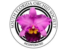 美国南佛罗里达兰花协会