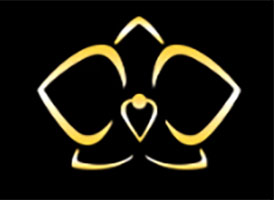 德国欧洲兰花Orchibias