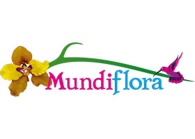 厄瓜多尔Mundiflora兰花苗圃