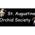 美国圣奥古斯丁兰花协会 St. Augustine Orchid Society