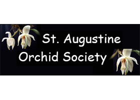 美国圣奥古斯丁兰花协会 St. Augustine Orchid Society