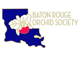 美国巴吞鲁治兰花协会Baton Rouge Orchid Society