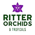 美国Ritter兰花苗圃