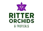 美国Ritter兰花苗圃