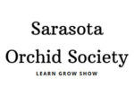 美国Sarasota 兰花协会