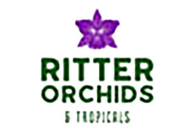 美国Ritter兰花苗圃