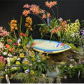 美国纽波特港兰花协会Newport Harbor Orchid Society