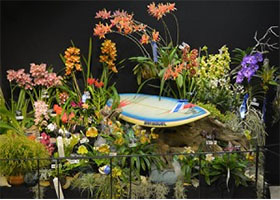 美国纽波特港兰花协会Newport Harbor Orchid Society