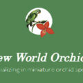 美国新世界兰花苗圃New World Orchids