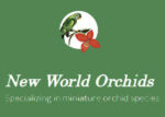 美国新世界兰花苗圃New World Orchids