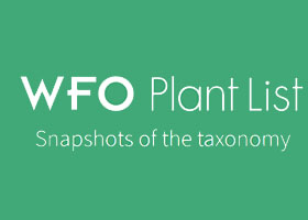 世界植物在线植物列表数据库World Flora Online