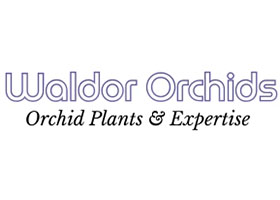 美国 Waldor Orchids 沃尔多兰花苗圃