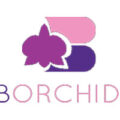 泰国 BB Orchids兰花苗圃