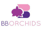 泰国 BB Orchids兰花苗圃