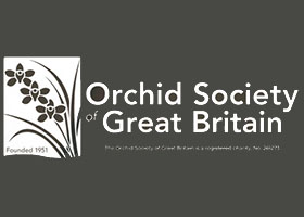 英国兰花协会Orchid Society of Great Britain 