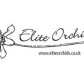 美国精英兰花苗圃Elite Orchids