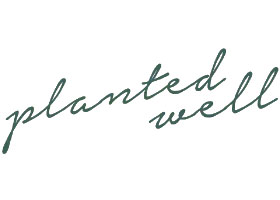 美国 Planted Well 园艺灵感与知识博客