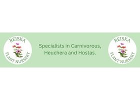 爱尔兰 Reiska Plant Nursery Logo