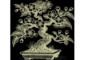 Scottish Bonsai Association Logo