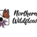 加拿大本土野花种子供应 Northern Wildflowers