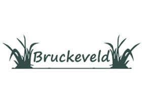 比利时 Bruckeveld 苗圃 - 2000+品种宿根花卉专业苗圃