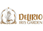 智利 德尔里奥鸢尾花园 Delirio Iris Garden- 专注于鸢尾属球根花卉的专业种植者