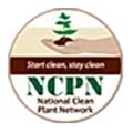 美国国家洁净植物网络 National Clean Plant Network Roses