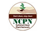 美国国家洁净植物网络 National Clean Plant Network Roses
