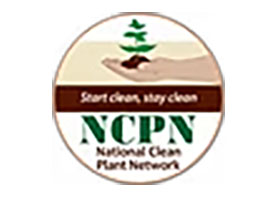 美国国家洁净植物网络 National Clean Plant Network Roses