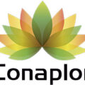 墨西哥 CONAPLOR苗圃 - 大型花卉展览与批发中心