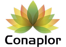 墨西哥 CONAPLOR苗圃 - 大型花卉展览与批发中心