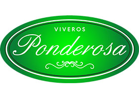 墨西哥 庞德罗萨苗圃 Viveros Ponderosa- 花园中心连锁零售品牌