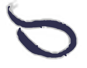 美国哈德逊河谷种子公司 Hudson Valley Seed Company