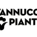 意大利 范努奇植物 Vannucci Piante- 可持续苗圃发展样本