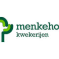 荷兰 门克霍斯特苗圃 Menkehorst Kwekerijen- 六十公顷全规格乔木供应商