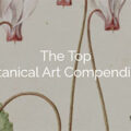 英国植物艺术与艺术家 Botanical Art & Artists