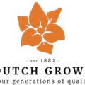 荷兰 Dutch Grown 球根花卉苗圃