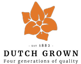 荷兰 Dutch Grown 球根花卉苗圃