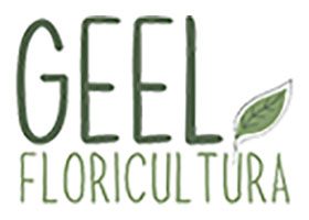 意大利 Geel Floricultura 有机芳香植物苗圃