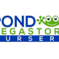 美国水生植物与睡莲苗圃 Pond Megastore