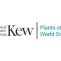 英国邱园全球植物在线数据库 Plants of the World Online