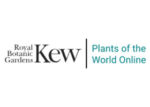 英国邱园全球植物在线数据库 Plants of the World Online