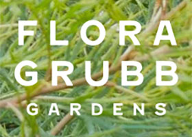 美国弗洛拉·格拉布花园 Flora Grubb Gardens