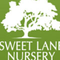 美国 Sweet Lane 批发苗圃