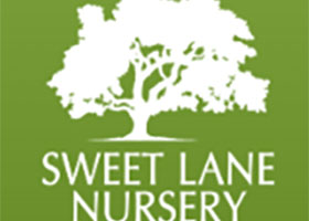 美国 Sweet Lane 批发苗圃