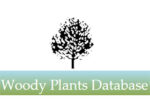 美国 Cornell 康奈尔大学木本植物数据库 Woody Plants Database