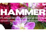 挪威 Hammer 哈默尔苗圃 - 特伦德拉格地区最大植物品种库存