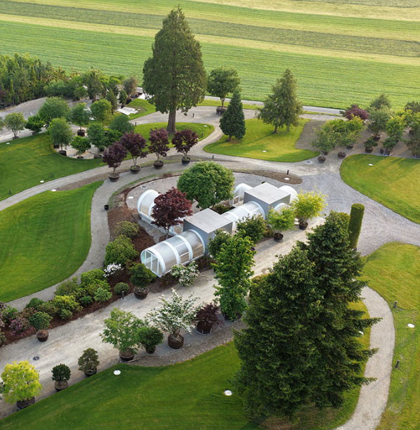 瑞士 Bernhard 伯恩哈德树木画廊 - 独特的公园式展览空间