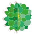 英国仙人掌和多肉植物协会 British Cactus and Succulent Society