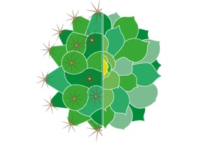 英国仙人掌和多肉植物协会 British Cactus and Succulent Society